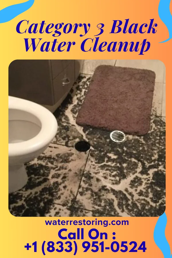 Category 3 Black Water Cleanup in Joseph, OR